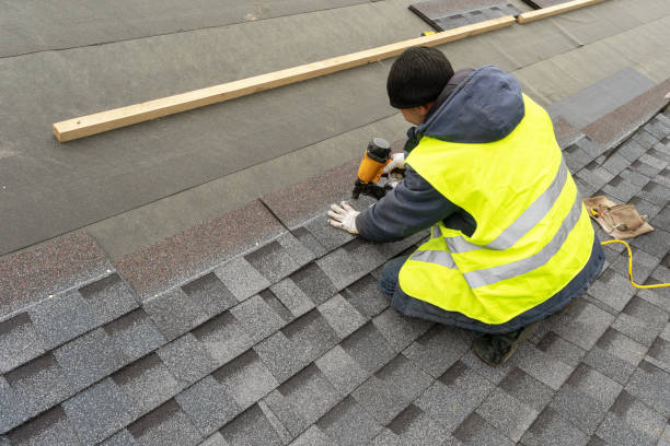 Best Metal Roofing Contractor  in Lake Fenton, MI